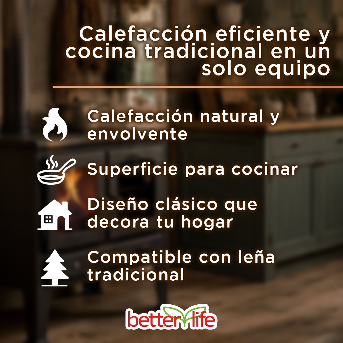Cocina a leña