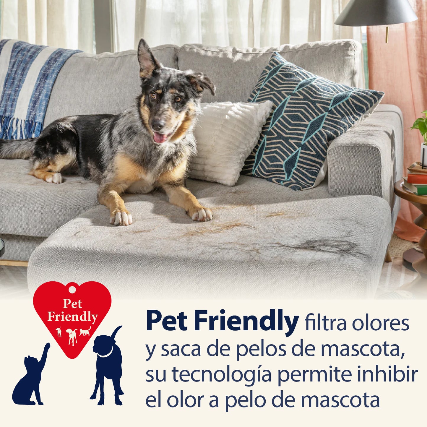 Aspiradora Inalámbrica MULTIREACH ACTIVE PET 21V image 3